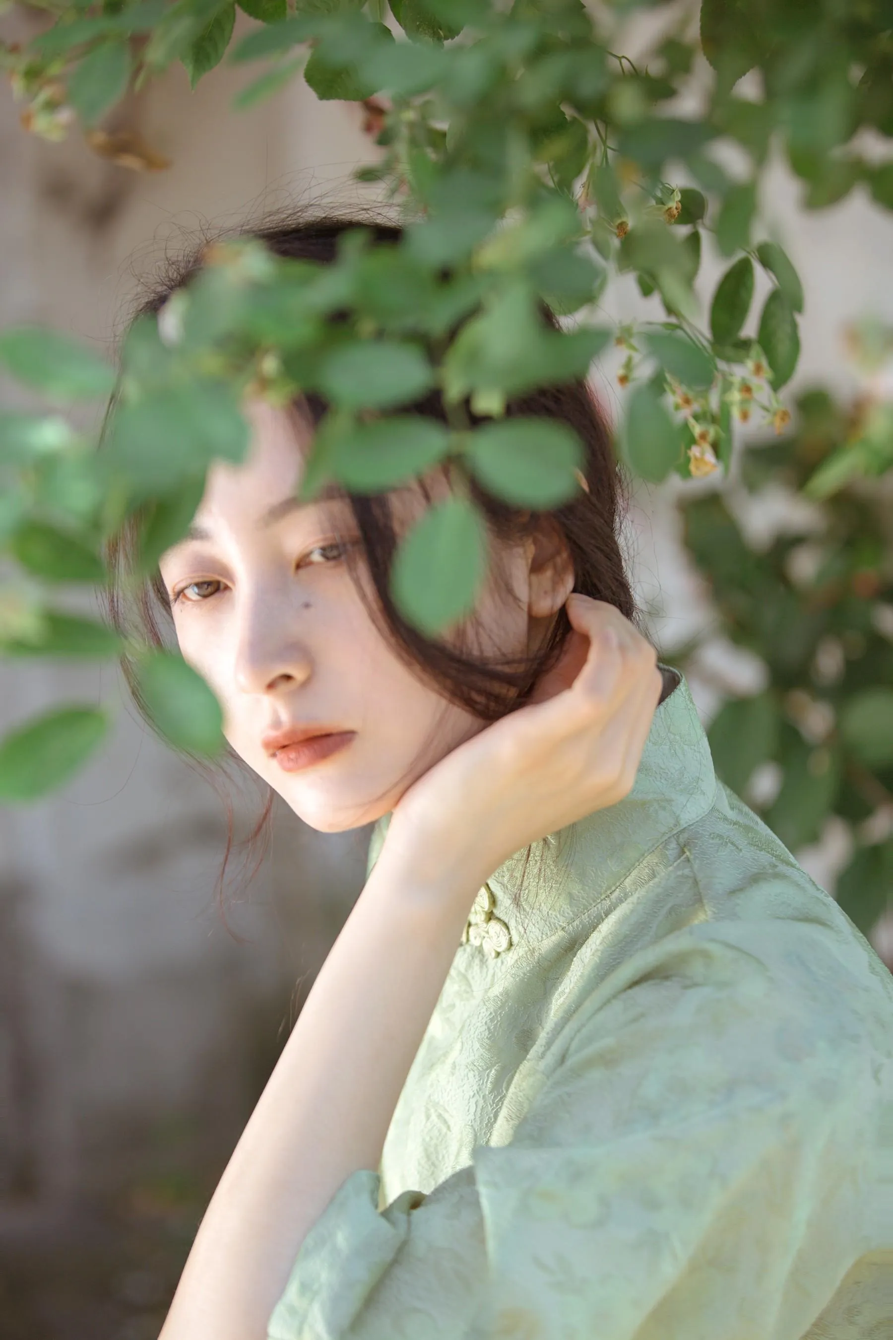 [艺图语] 2022.06.27 总有人间一两风 五月的三花猫 [24P]插图8